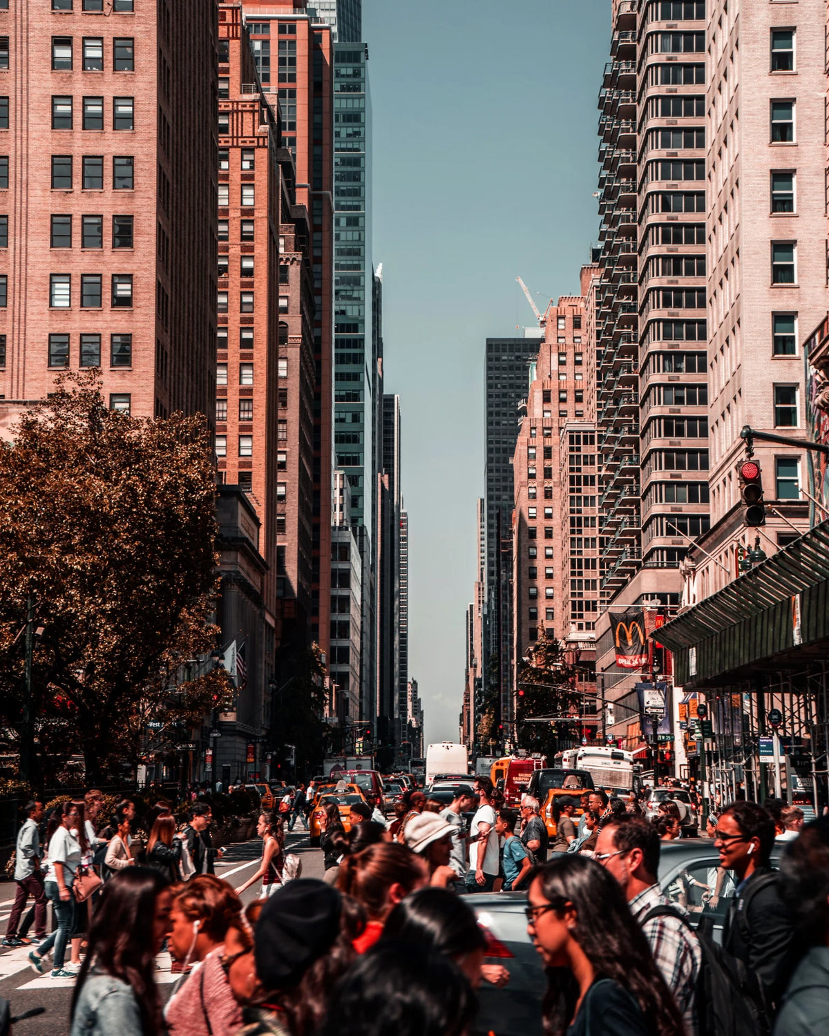 New York City Guide