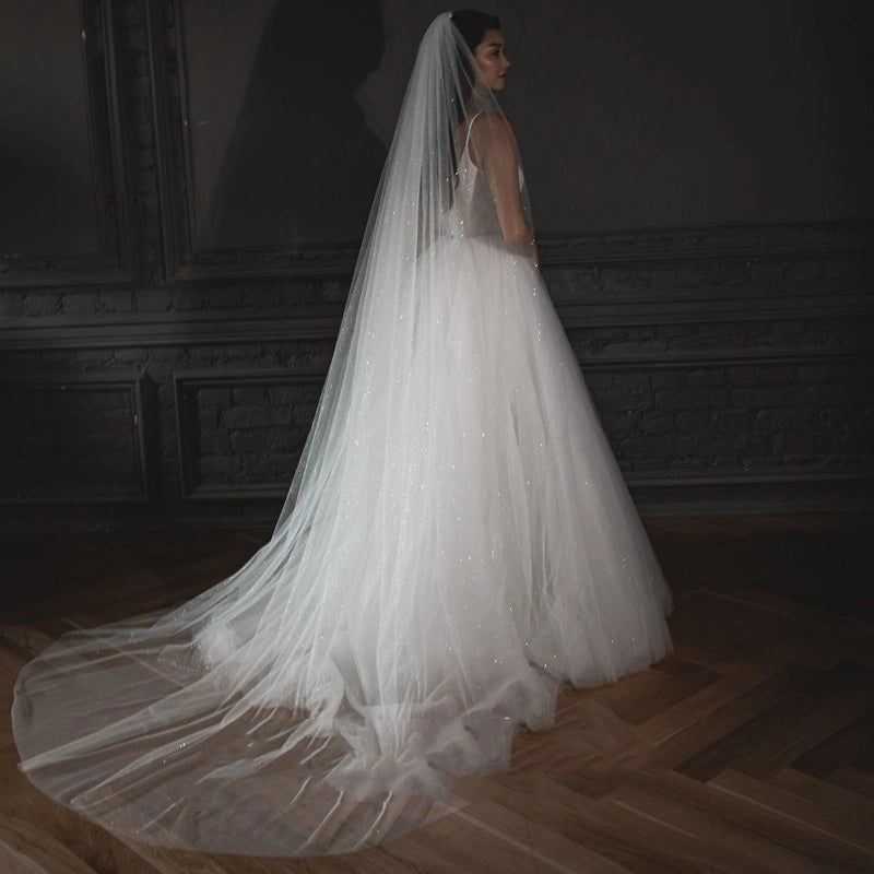 Woman in a white wedding dress with a long veil in a dimly lit room.